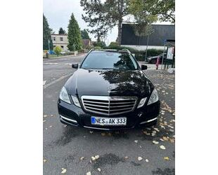 Mercedes-Benz Mercedes-Benz E 220 CDI T BlueEFFICIENCY Gebrauchtwagen