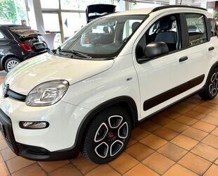 Fiat Fiat Panda 1.0 GSE Hybrid City Life Gebrauchtwagen