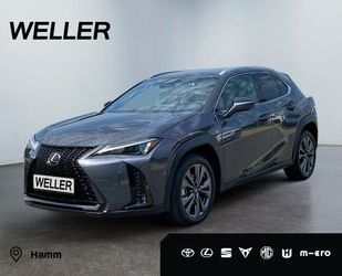 Lexus Lexus UX 300h F SPORT Design *LED*Navi*SHZ*Kamera* Gebrauchtwagen