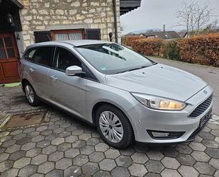 Ford Ford Focus Turnier Business Park-Assist+Winterpake Gebrauchtwagen