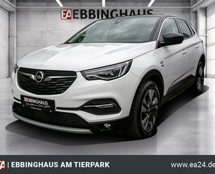 Opel Opel Grandland Opel 2020 -Panorama-Navi-LED-Kurven Gebrauchtwagen