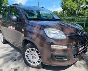 Fiat Fiat Panda My Panda Gebrauchtwagen