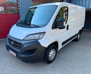 Fiat Fiat Ducato Kasten 30 120 L1H1 RS: 3000 mm Gebrauchtwagen