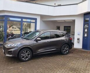 Ford Ford Kuga Plug-In Hybrid ST-Line Gebrauchtwagen