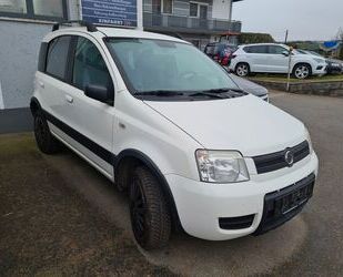 Fiat Fiat Panda 1.1 8V-- 4X4-- KLIMA-RCR-ALARM-ANLAGE-C Gebrauchtwagen