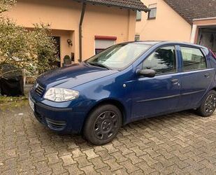 Fiat Fiat Punto 1.2 8V - TÜV Neu Gebrauchtwagen