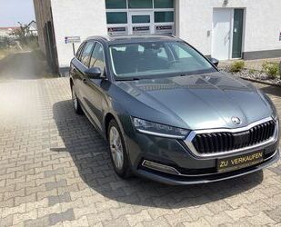 Skoda Skoda Octavia Combi First Edition Gebrauchtwagen