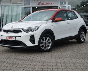 Kia Kia Stonic 1.2 Edition 7 Sitzheizung Android Apple Gebrauchtwagen