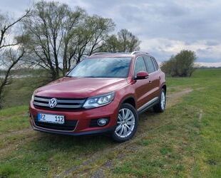 VW Volkswagen Tiguan 2.0 TDI 130 DSG 4M BMT CUP Sport Gebrauchtwagen