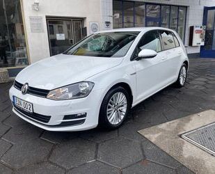 VW Volkswagen Golf 2.0 TDI Cup 1-Hand/Dynaudio Gebrauchtwagen