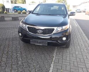 Kia Kia Sorento 2.2 CRDi AWD VisionXenon.Navi.AHK.Kame Gebrauchtwagen