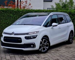 Citroen Citroën Grand C4 Spacetourer Shine (7-Sitze/Pano/K Gebrauchtwagen