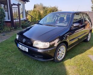 VW Volkswagen Polo 1.6 GTI, Original, rostfrei! Gebrauchtwagen