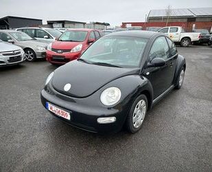 VW Volkswagen New Beetle 1,6L Highline*Klima*Allwette Gebrauchtwagen