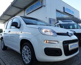 Fiat Fiat Panda1.2 KLIMA/1.Hand/TÜV NEU!! Gebrauchtwagen