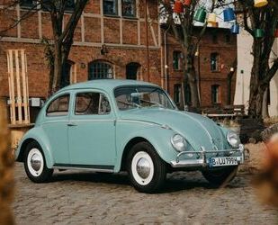 VW Volkswagen Käfer Gebrauchtwagen