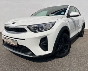 Kia Kia Stonic Edition 7 SITZHEIZUNG EINPARKHILFE Gebrauchtwagen