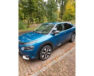 Citroen Citroën C4 Cactus PureTech 130 S&S Shine Shine Gebrauchtwagen