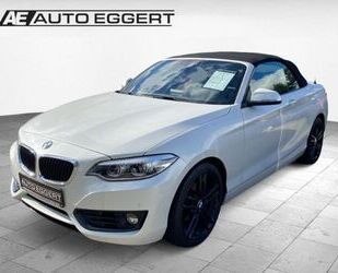 BMW BMW 218 Advantage EU6d-T i Cabrio Navi Leder Sound Gebrauchtwagen