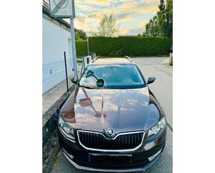 Skoda Skoda Octavia 1.6 TDI Green tec Ambition Combi Amb Gebrauchtwagen