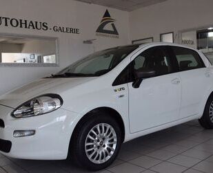 Fiat Fiat Punto Young 1.4/MODELL 2015/EURO6/1.HAND/TÜV Gebrauchtwagen