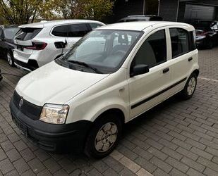 Fiat Fiat Panda 1.1 8V Active - HU/AU neu - 1. Hand Gebrauchtwagen