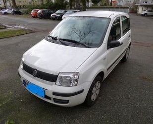 Fiat Fiat Panda Gebrauchtwagen