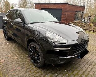 Porsche Porsche Cayenne Luft/Pano/Bose/SoftClose/CAM/Chron Gebrauchtwagen