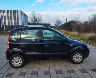 Fiat Fiat Panda Gebrauchtwagen