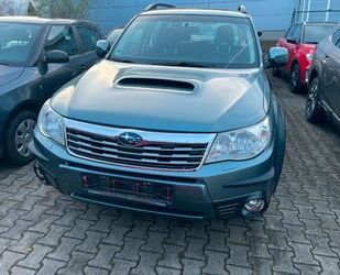 Subaru Subaru Forester Comfort*Klima *SHZ*AHK*1.Hand Gebrauchtwagen