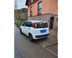 Fiat Fiat Panda 1.2 Gebrauchtwagen