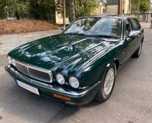 Jaguar Jaguar Daimler Double Six 6.0 Ltr. LHD mit Histori Gebrauchtwagen