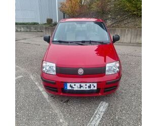 Fiat Fiat Panda 1,2 Benzin Gebrauchtwagen