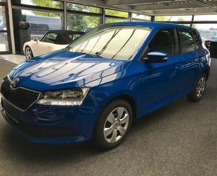 Skoda Skoda Fabia Active Gebrauchtwagen