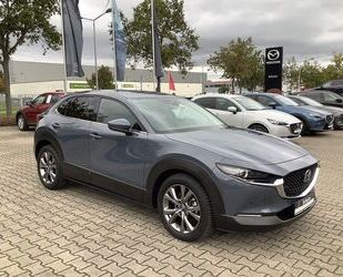 Mazda Mazda CX-30 SKYACTIV-X AWD Selection Premium-Paket Gebrauchtwagen