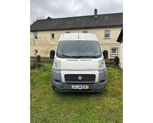 Fiat Fiat Ducato 250 L2H2 Gebrauchtwagen