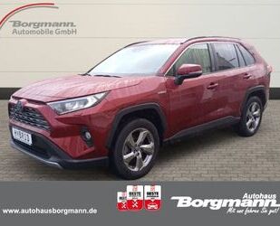 Toyota Toyota RAV 4 Hybrid 4x2 Team Deutschland 2.5 VVT-i Gebrauchtwagen