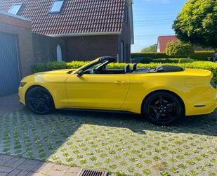 Ford Ford Mustang S550 3,7 L V6 Gebrauchtwagen