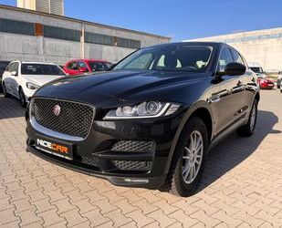 Jaguar Jaguar F-Pace F-PACE Pure AWD Head-Up Gebrauchtwagen