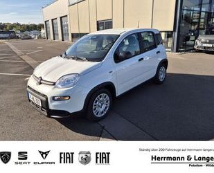 Fiat Fiat Panda 1.0 Pandina Klima PDC Radio Gebrauchtwagen