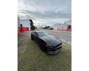 Ford Ford Mustang 5.0 Ti-VCT V8 Grail im KUNDENAUFTRAG Gebrauchtwagen