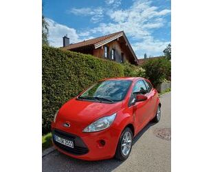 Ford Ford Ka/Ka+ 1,2 Cool and Sound Edition Gebrauchtwagen