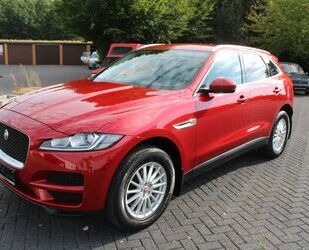 Jaguar Jaguar F-Pace 20d AWD Ingenium Edition Automatik Gebrauchtwagen