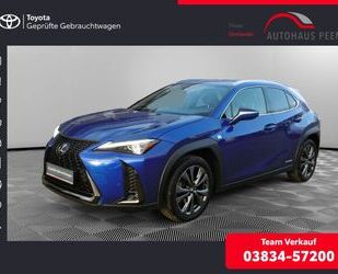 Lexus Lexus UX 2.0 250 h E-Four Gebrauchtwagen