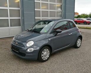 Fiat Fiat 500 Cult Mild-Hybrid Klima Gebrauchtwagen