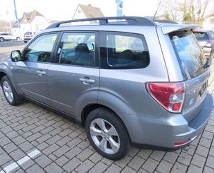 Subaru Subaru Forester 2.0D Comfort Gebrauchtwagen