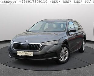 Skoda Skoda Octavia Combi 2.0 TDI DSG Virtual Netto13450 Gebrauchtwagen