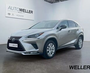 Lexus Lexus NX 300h Style Edition *Bi-LED*ACC*CAM*SHZ*Ca Gebrauchtwagen