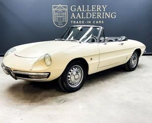 Alfa Romeo Alfa Romeo Spider 1600 Spider Duetto - ONLINE AUCT Gebrauchtwagen