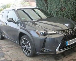 Lexus Lexus UX250H Gebrauchtwagen